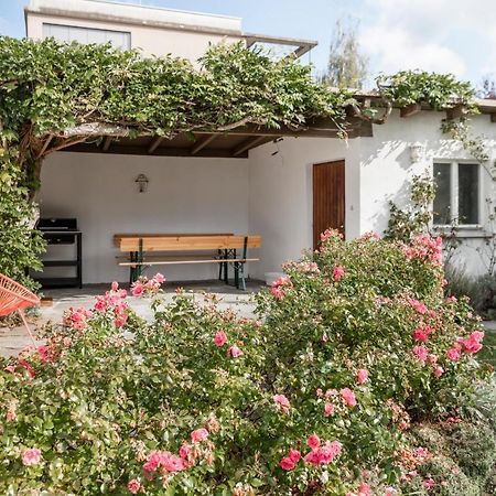 Haus Im Zentrum Mit Garten Villa Bregenz Exteriör bild